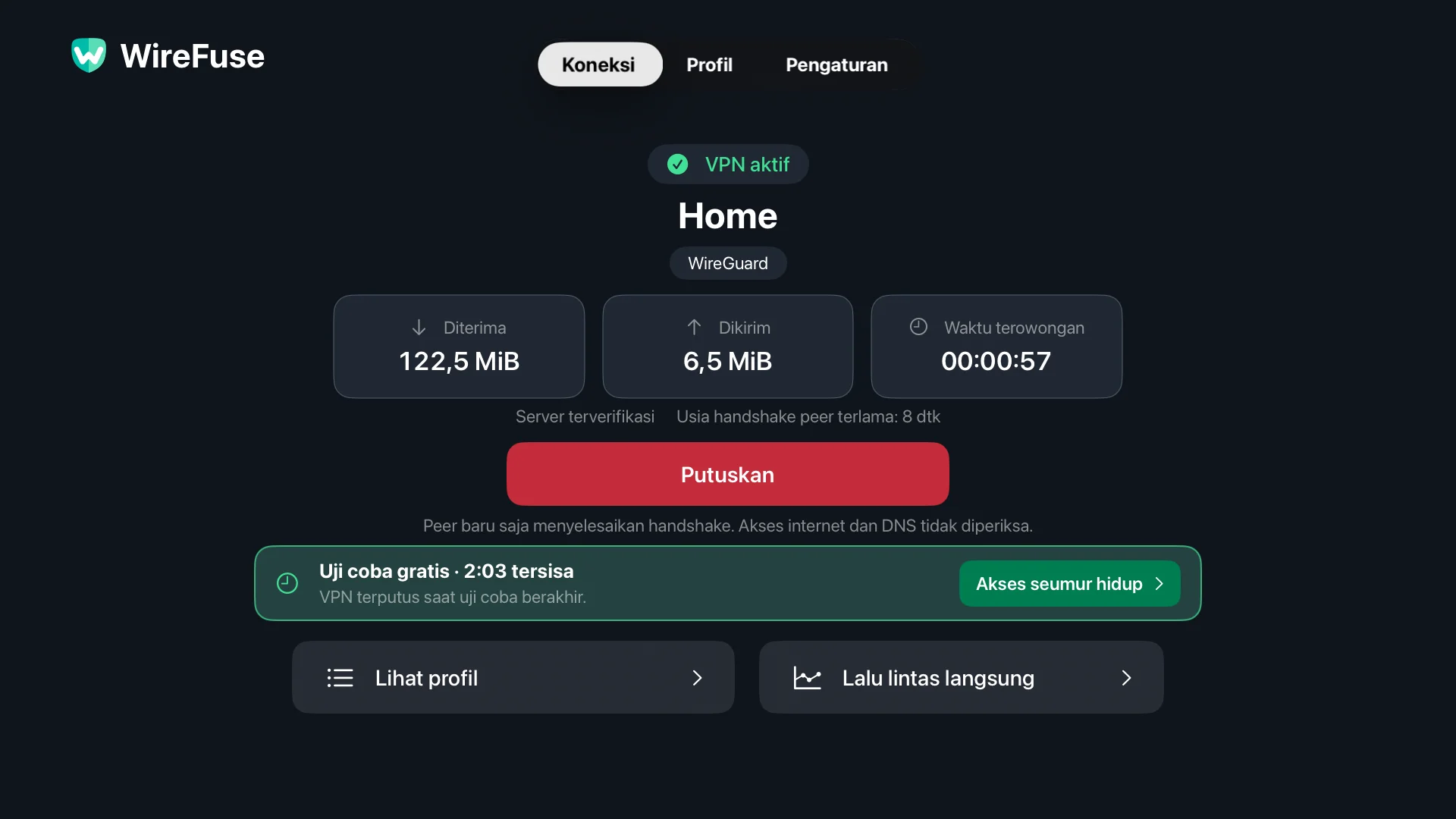 Layar Koneksi WireFuse: Profil beranda, status VPN, verifikasi rekan, total transfer dan Putus.